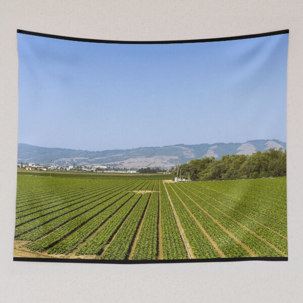 Item preview, Farm in Central California designed and sold by OrcaNature.