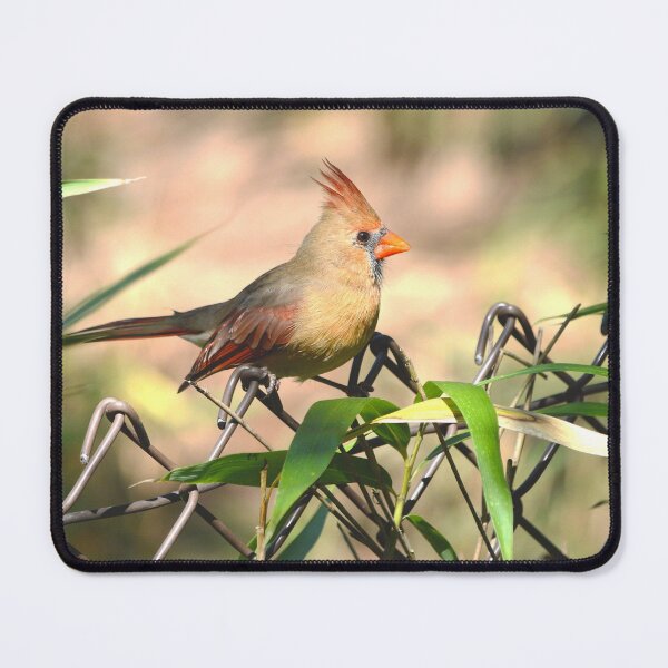 Item preview, Young Male Cardinal designed and sold by Nature's Reflections.