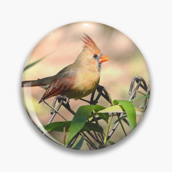 Item preview, Young Male Cardinal designed and sold by Nature's Reflections.