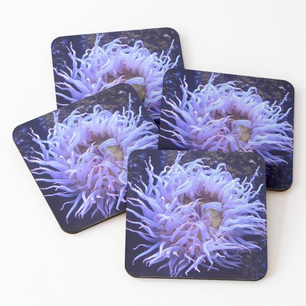 Item preview, Anemone 2 designed and sold by Nature's Reflections.