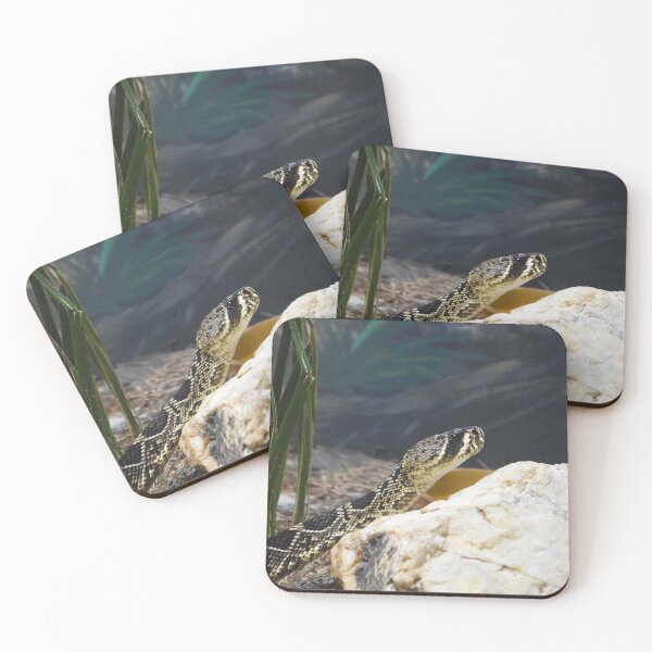 Item preview, Rattlesnake designed and sold by Nature's Reflections.