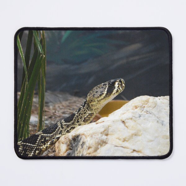 Item preview, Rattlesnake designed and sold by Nature's Reflections.
