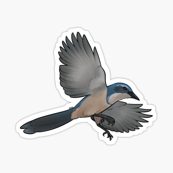 tattoo of a California scrub jay, chibi, miniature,, Stable Diffusion