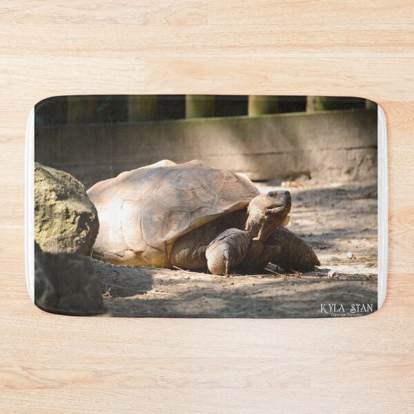 Item preview, Cute Sulcata Tortoise designed and sold by Nature's Reflections.