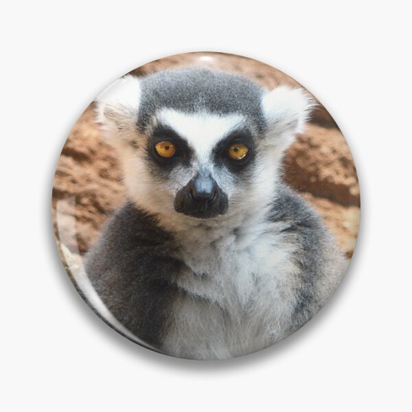 Item preview, Curious Lemur designed and sold by Nature's Reflections.