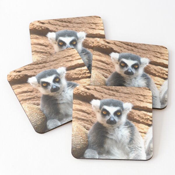 Item preview, Curious Lemur designed and sold by Nature's Reflections.