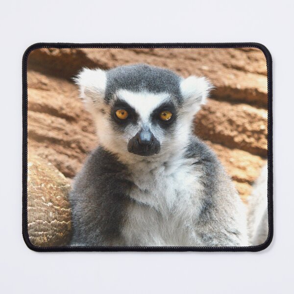 Item preview, Curious Lemur designed and sold by Nature's Reflections.