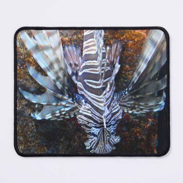 Item preview, Lionfish designed and sold by Nature's Reflections.
