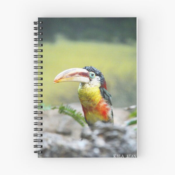 Item preview, Little Toucan designed and sold by Nature's Reflections.
