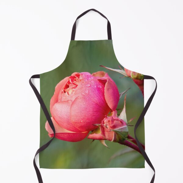 Item preview, The droplets. Last roses of the year designed and sold by Jouko Lehto Photography.