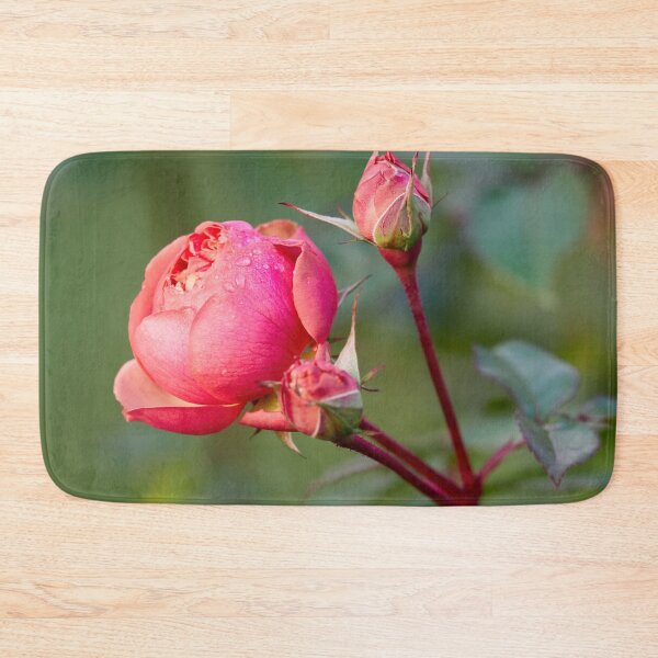 Item preview, The droplets. Last roses of the year designed and sold by Jouko Lehto Photography.