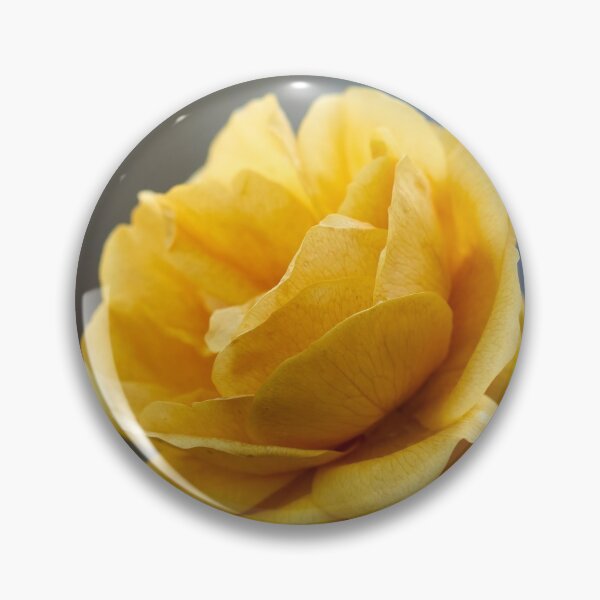 Item preview, Yellow fall. Last roses of the year designed and sold by Jouko Lehto Photography.