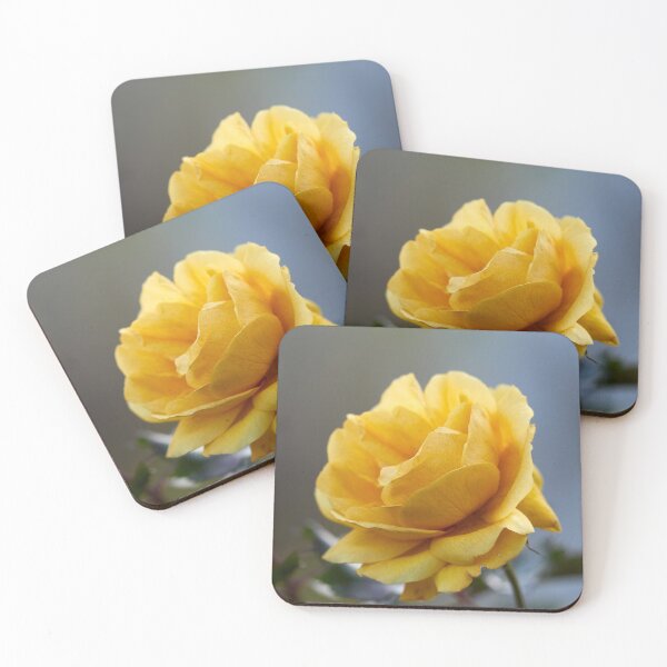 Item preview, Yellow fall. Last roses of the year designed and sold by Jouko Lehto Photography.