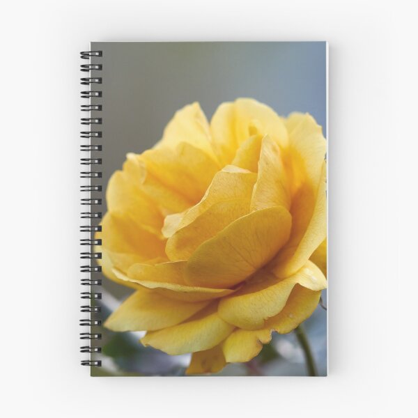 Item preview, Yellow fall. Last roses of the year designed and sold by Jouko Lehto Photography.