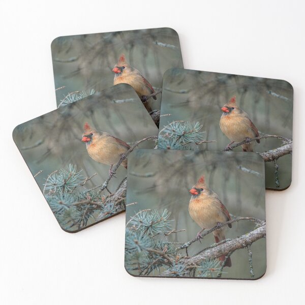 Item preview, Female Northern Cardinal  designed and sold by Michael Cummings.