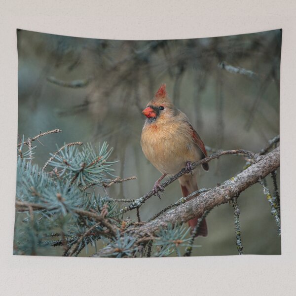 Item preview, Female Northern Cardinal  designed and sold by Michael Cummings.