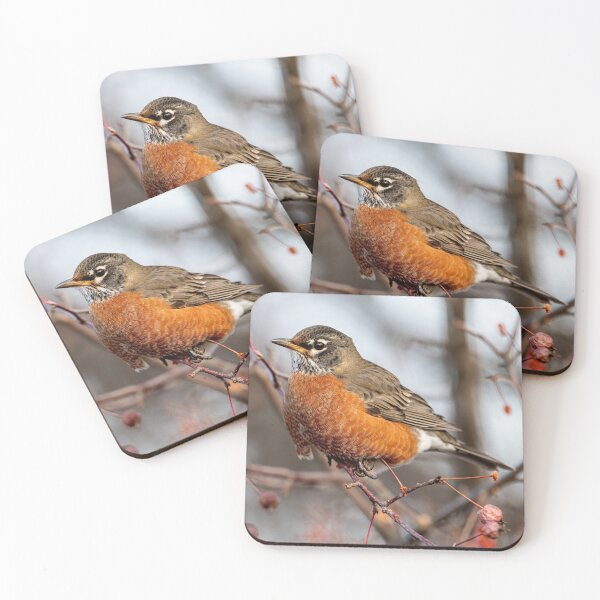Item preview, American Robin designed and sold by Michael Cummings.