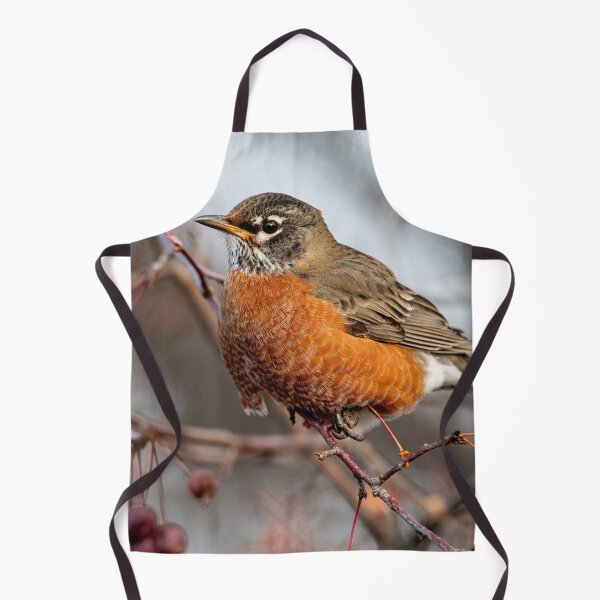 Item preview, American Robin designed and sold by Michael Cummings.