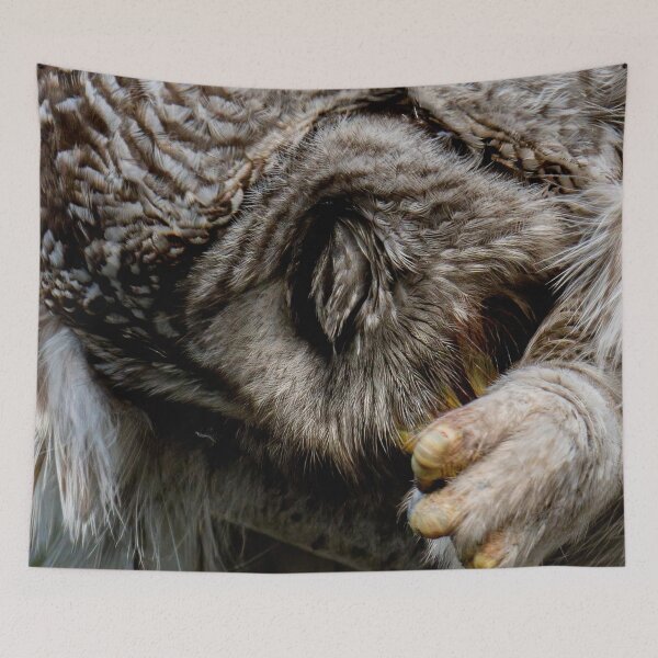 Item preview, Barred Owl - Up Close and Personal designed and sold by Michael Cummings.