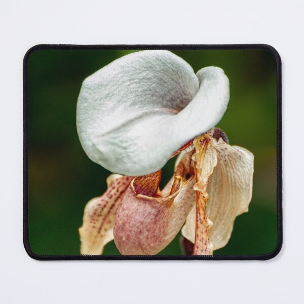 Item preview, Paphiopedilum Orchid designed and sold by Michael Cummings.