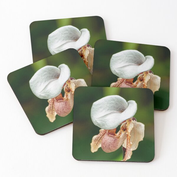 Item preview, Paphiopedilum Orchid designed and sold by Michael Cummings.
