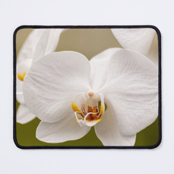 Item preview, Brother White Windian Orchid 2 designed and sold by Michael Cummings.