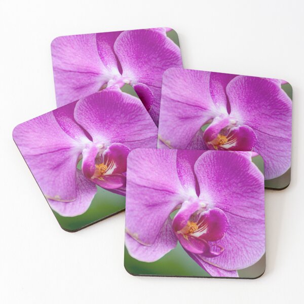 Item preview, Purple Moth Orchid designed and sold by Michael Cummings.