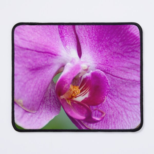 Item preview, Purple Moth Orchid designed and sold by Michael Cummings.