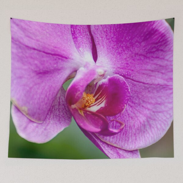 Item preview, Purple Moth Orchid designed and sold by Michael Cummings.