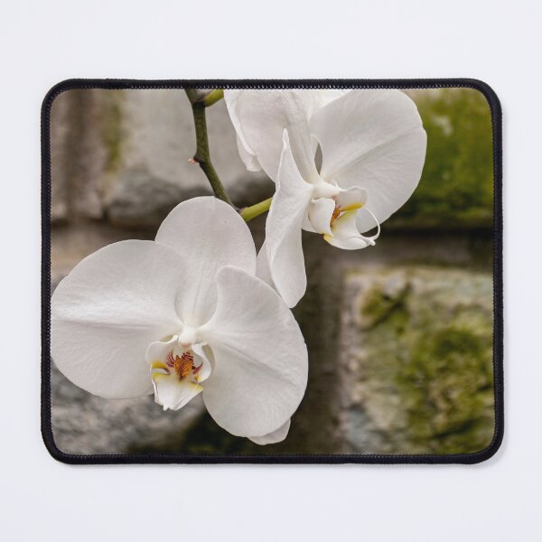 Item preview, Brother Windian Orchid 3 designed and sold by Michael Cummings.