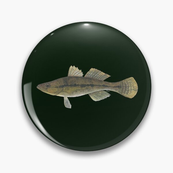 Item preview, Bigmouth Sleeper (dormitorio de Gobiomorus) designed and sold by LeakyCanoeArt.