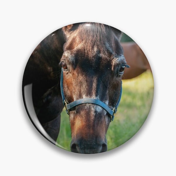 Item preview, Horse Portrait designed and sold by Michael Cummings.