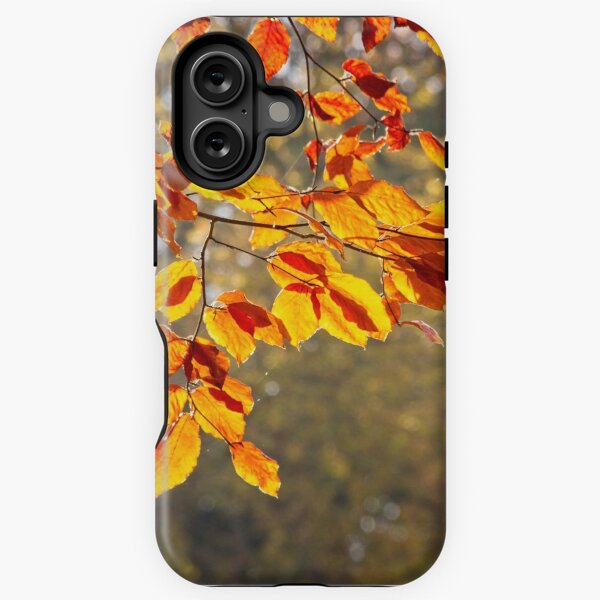 Item preview, Autumn Colours designed and sold by Rob Cole.