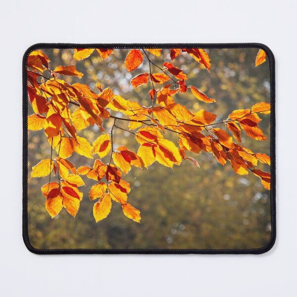Item preview, Autumn Colours designed and sold by Rob Cole Photography.