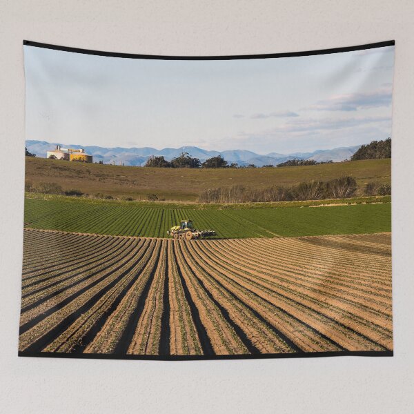 Item preview, Crop rows in San Luis Obispo County, California designed and sold by OrcaNature.