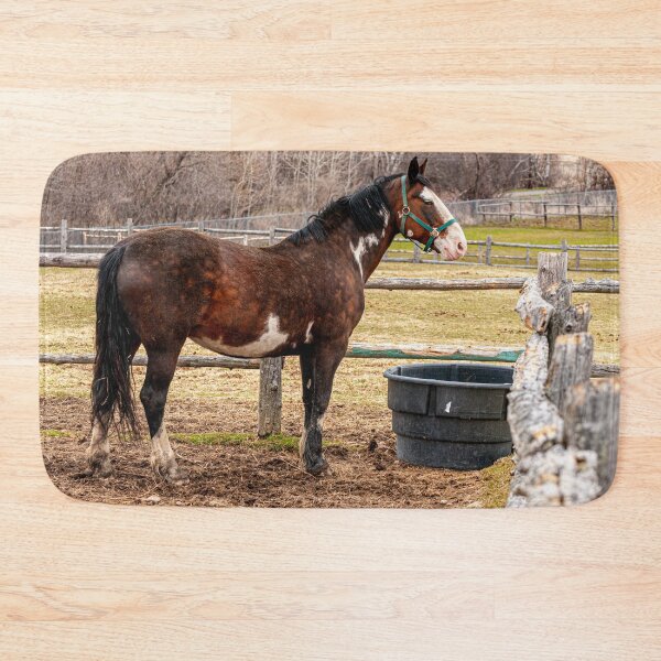 Item preview, Horse In Paddock designed and sold by Michael Cummings.