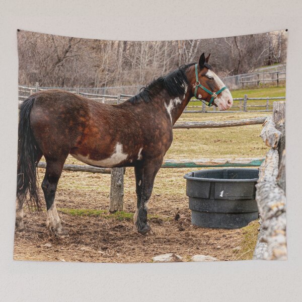 Item preview, Horse In Paddock designed and sold by Michael Cummings.