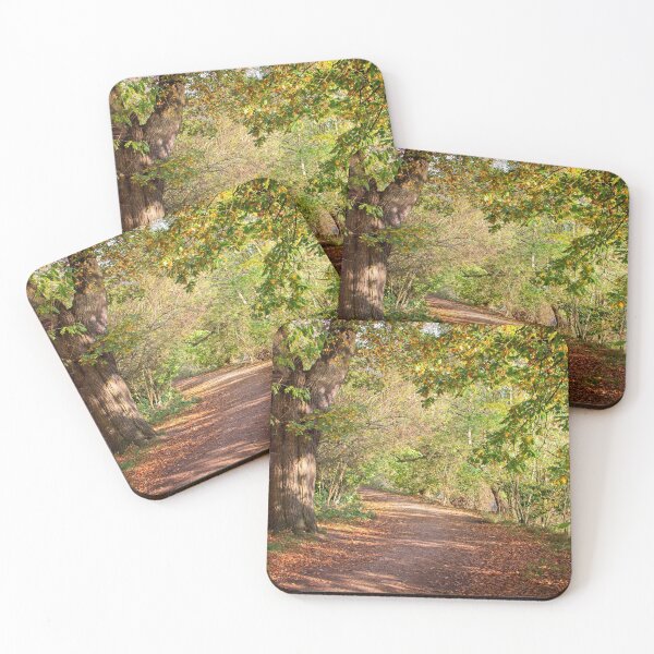 Item preview, Autumn in Darley Park, Derby designed and sold by Rob Cole Photography.