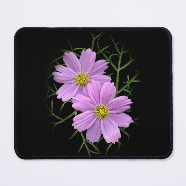 Item preview, Pink Cosmos, wildflower print designed and sold by Paul Lonsdale.