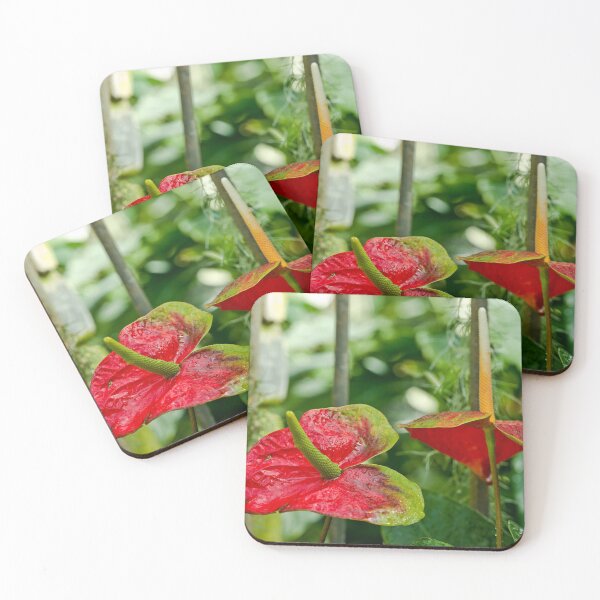 Item preview, Exotic Flower designed and sold by Michael Cummings.