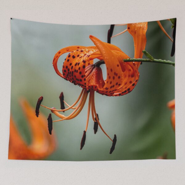 Item preview, Tiger Lily designed and sold by Michael Cummings.