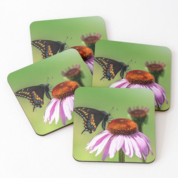 Item preview, Black Swallowtail On Coneflower designed and sold by Michael Cummings.