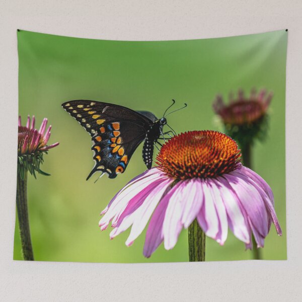 Item preview, Black Swallowtail On Coneflower designed and sold by Michael Cummings.