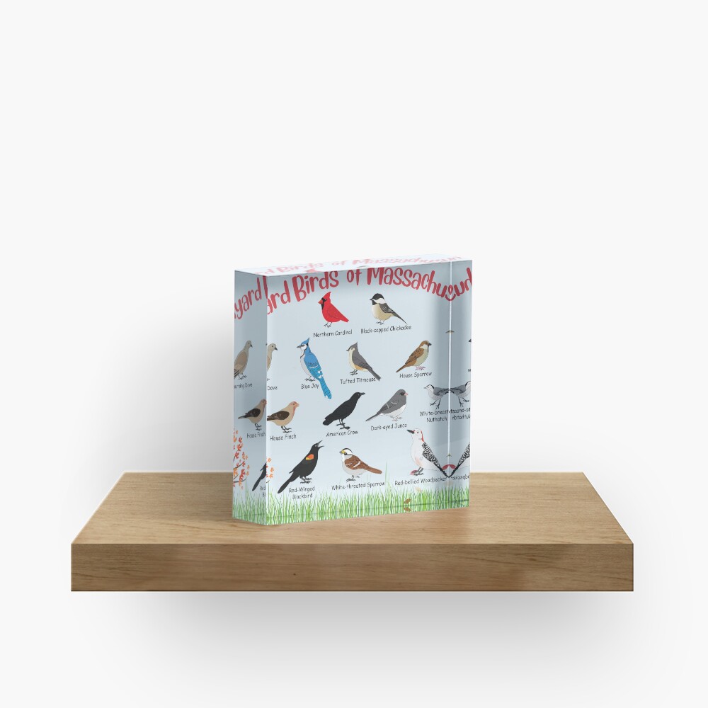 Item preview, Acrylic Block designed and sold by AndyMcBird.