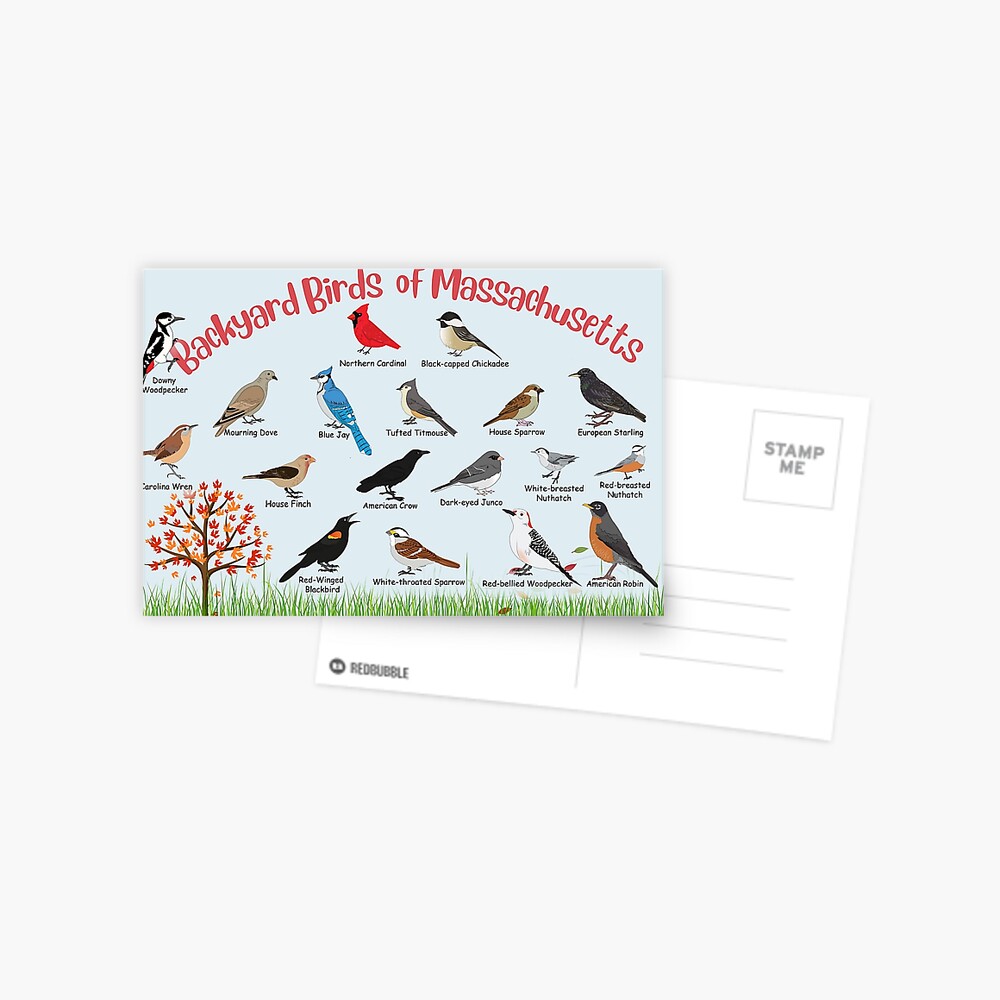 Item preview, Postcard designed and sold by AndyMcBird.
