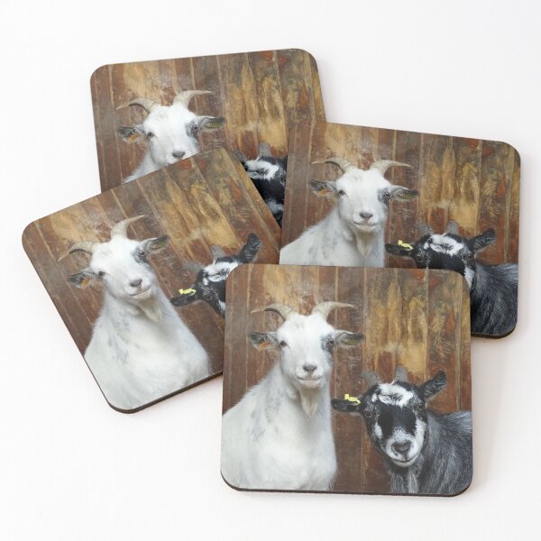 Item preview, You've Got To Be Kidding Me designed and sold by Barrie Woodward.