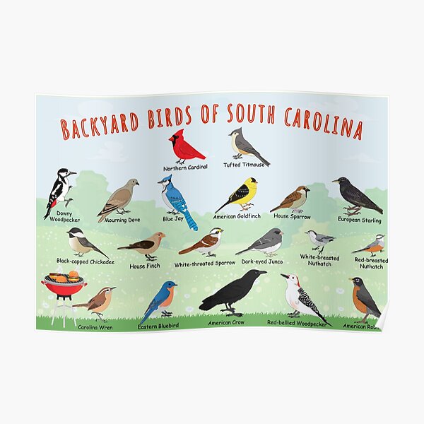 South American Posters for Sale | Redbubble