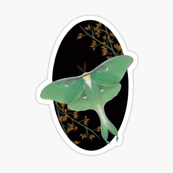 Luna Moth Sticker — Kat Weber Art