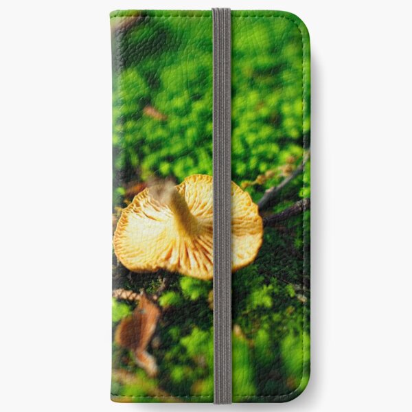 Photography - The fragility of nature  iPhone Wallet