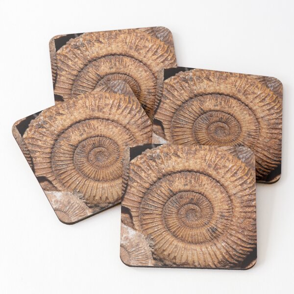 Item preview, Ammonites of the species Dactylioceras athleticum from the Lower Jurassic of Southern Germany designed and sold by Zosimus.